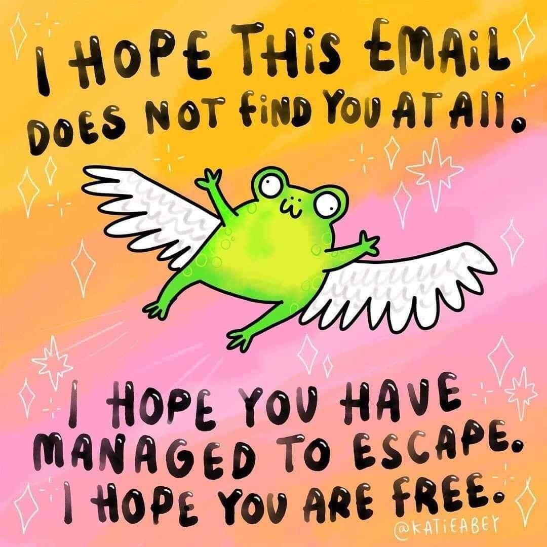 A cartoon style frog with angel wings is centered on an orange and pink background the text says 

I hope this email does not find you at all. I hope you have managed to escape. I hope you are free. 

Credit on the image is: KatieAbey it has an @ before it so I don't know what platform though.