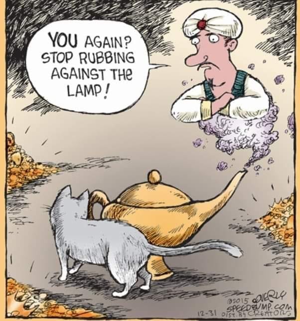 YOU AGAIN? STOP RUBBING AGAINST THE LAMP! 
Cartoon of the genie of the lamp talking to a cat who is rubbing again his lamp